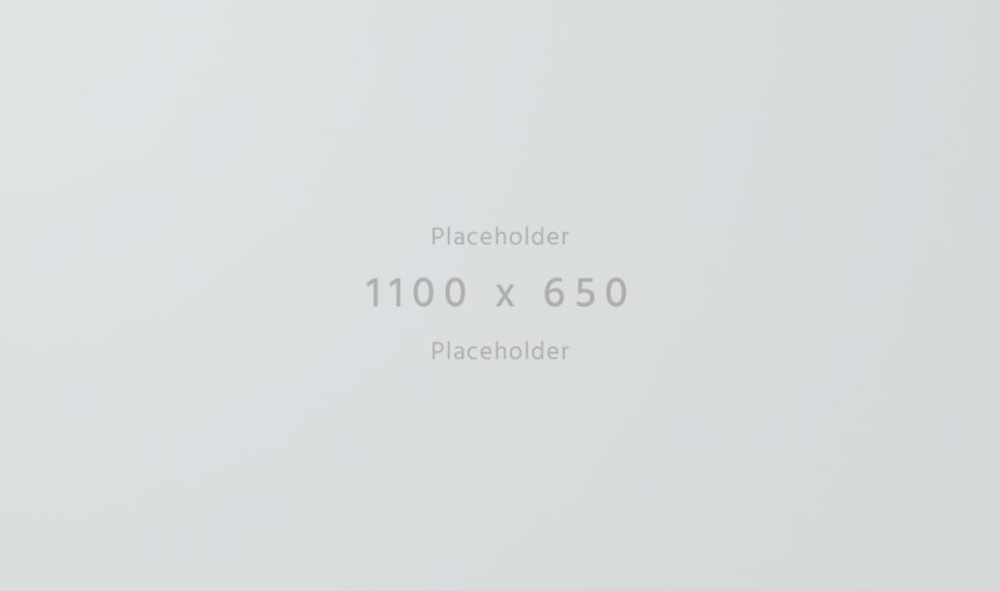 1100×650-light